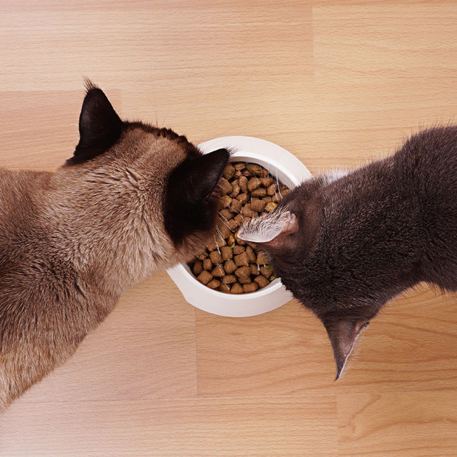 After Sterilization