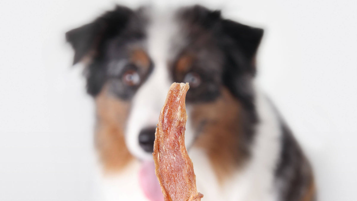 Jerky Treats for Dogs