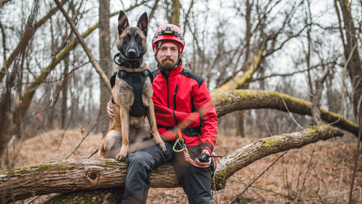 Dry Food for Active & Working Dogs