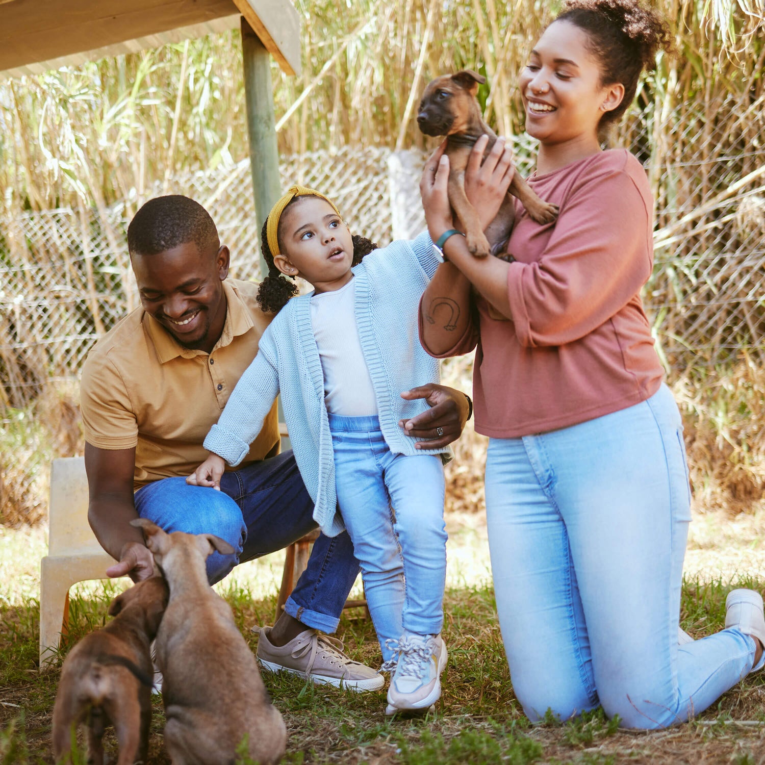 Volunteers and dogs at an outdoor adoption day event sponsored by Husse