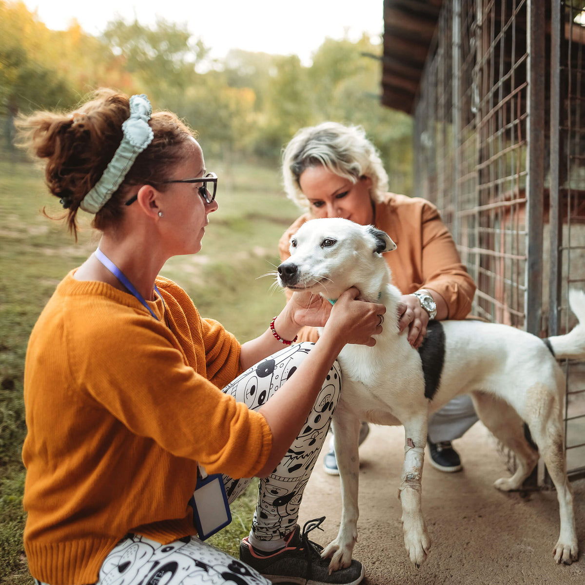 Volunteer holding a puppy at an animal shelter supported by Husse