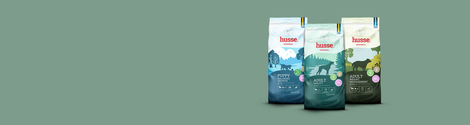 Three bags from the Husse Original dog food range on a sage green background