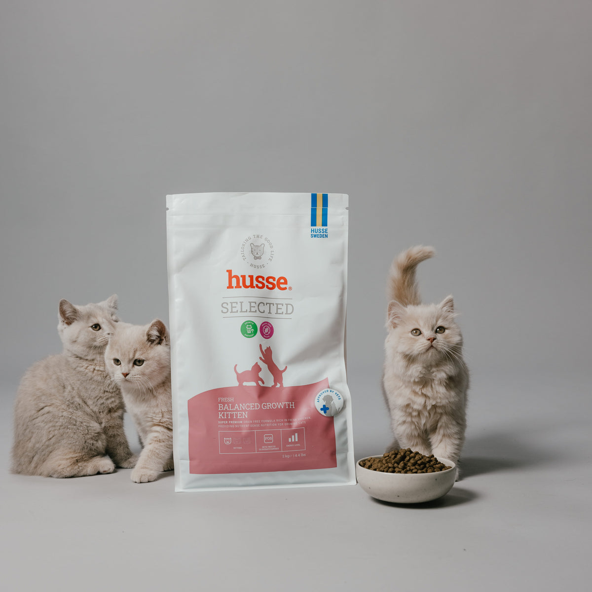 Two kittens beside a bag of Husse kitten food and a feeding bowl