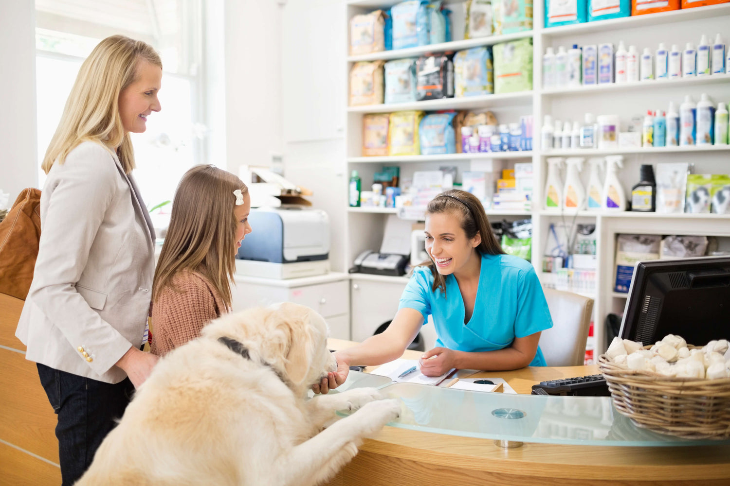 Client and her golden retriever at a veterinary reception with pet food on the shelves