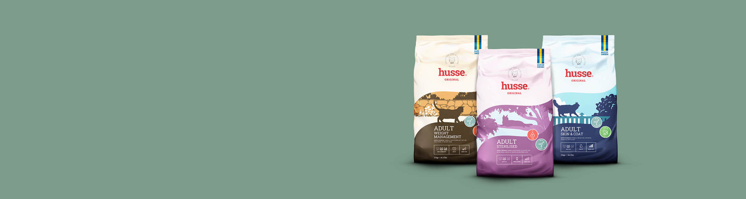 Three bags from the Husse Original cat food range on a sage green background