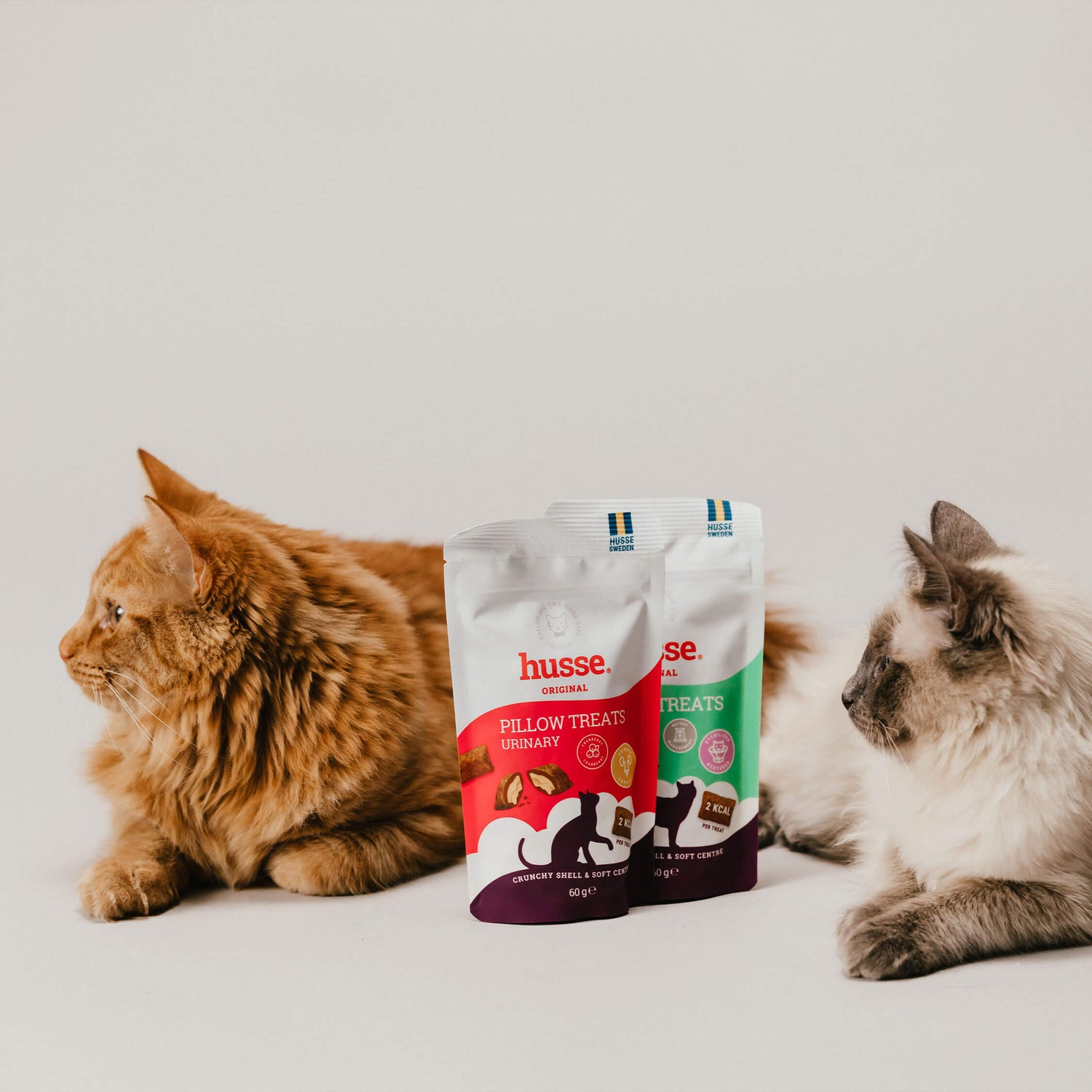 Two cats beside Husse cat food packs and wet food tins