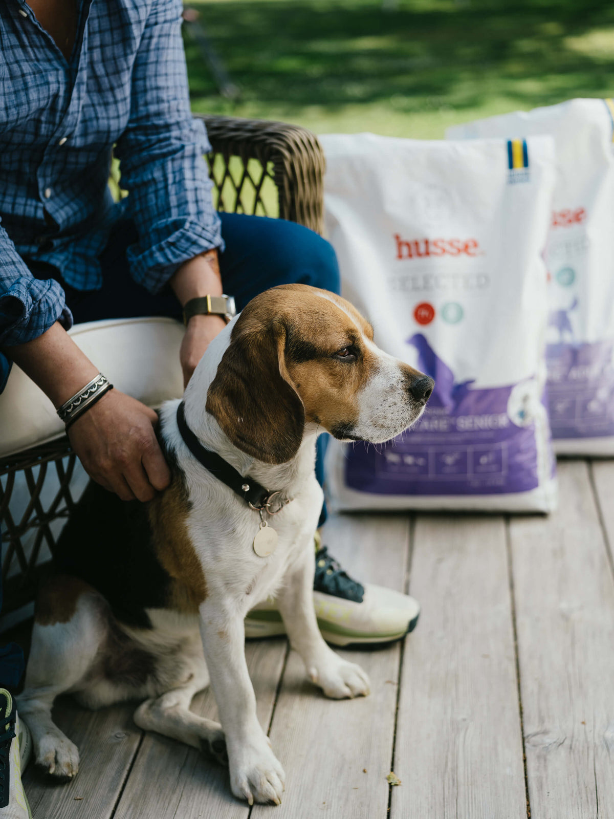 Yellow Labrador puppy sitting on a deck beside bags of Husse dry dog food