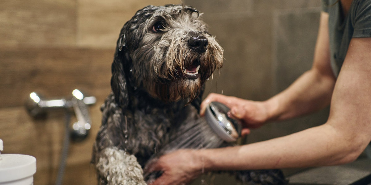 Hygiene & care