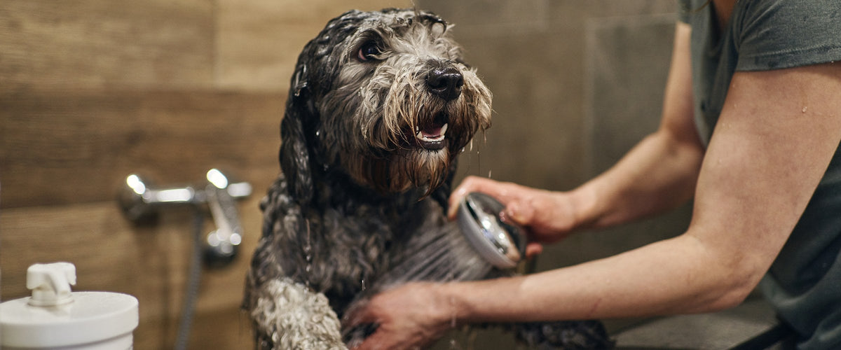 Hygiene & care