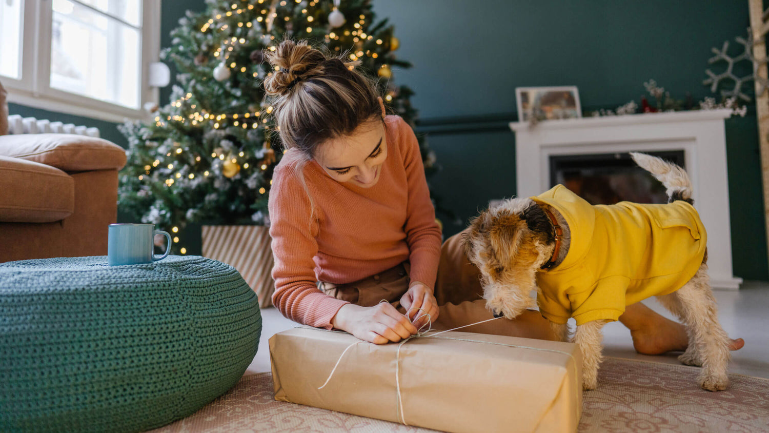 Christmas Treats for Dogs