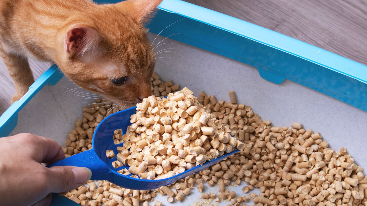 Wood Pellet Cat Litter