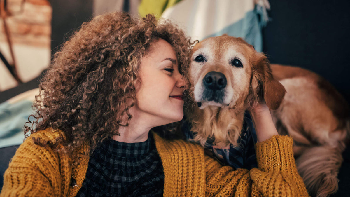 Dog Hygiene Accessories