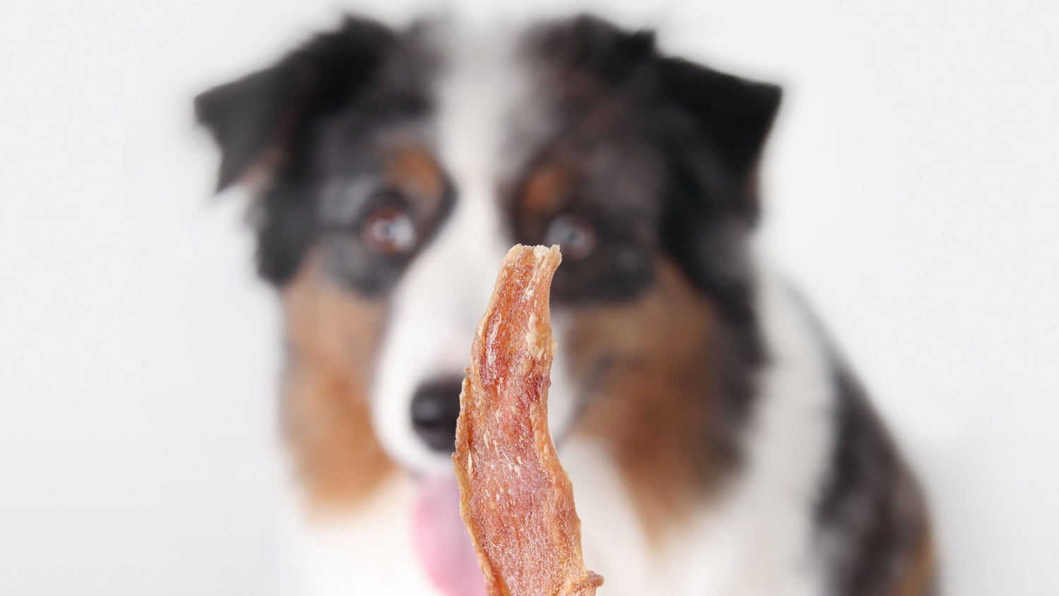 Jerky Treats for Dogs