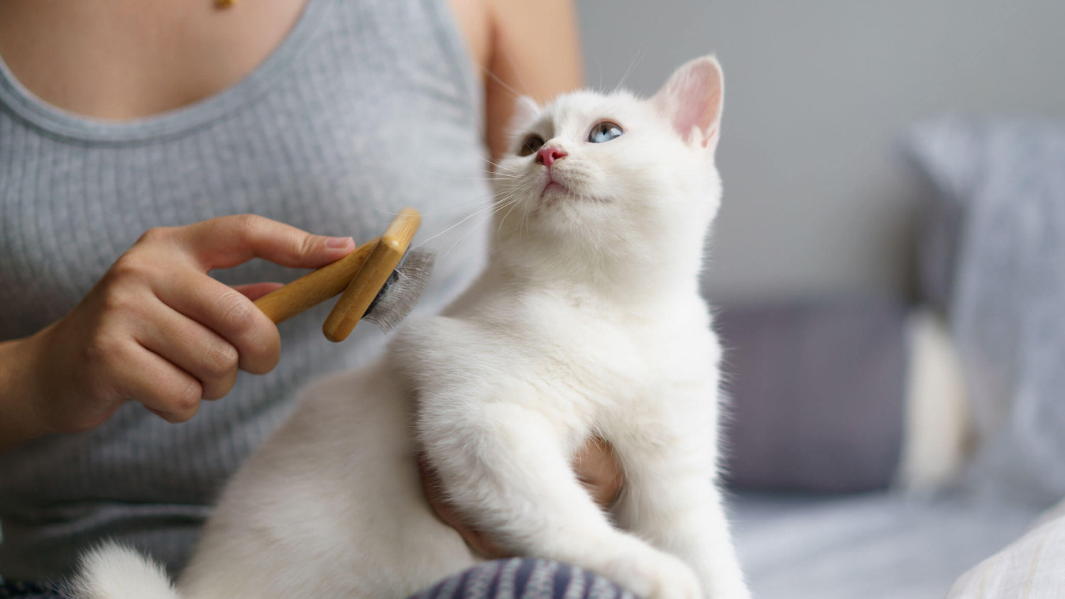 Cat Hygiene Accessories