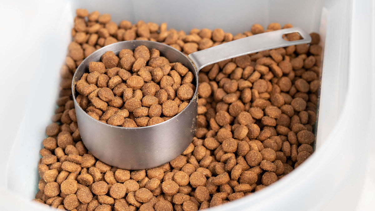 Dog Food Storage Containers