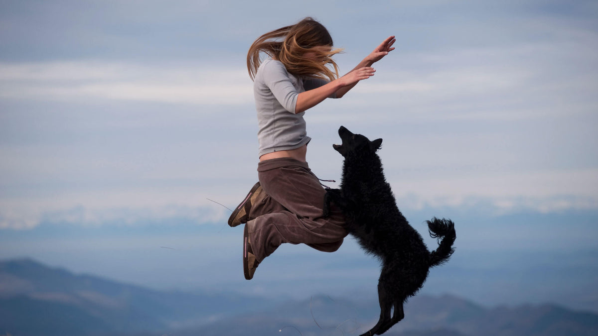 Dog Supplements