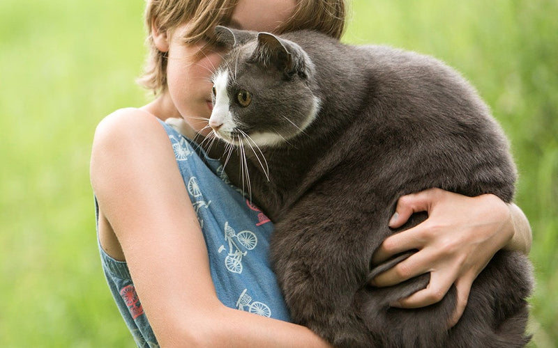 Woman in a blue dress holding a grey cat against her shoulder on a lawn