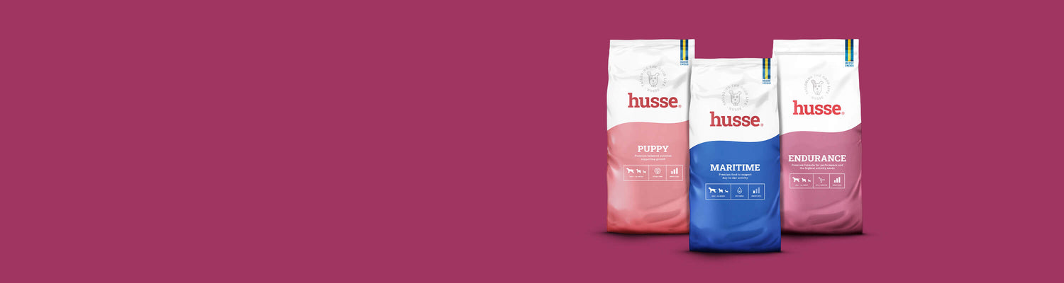 Three bags from the Husse Essential dog food range on a berry pink background