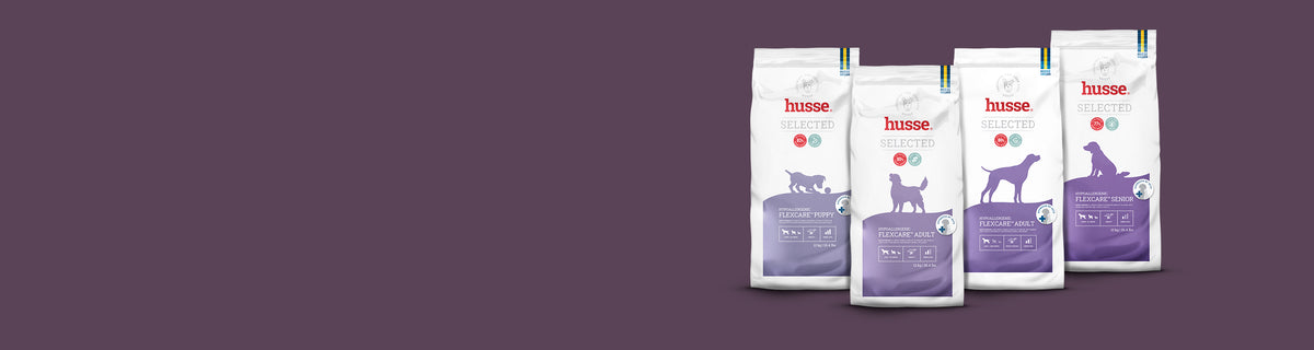 Four bags from the Husse Selected dog food range on a plum background
