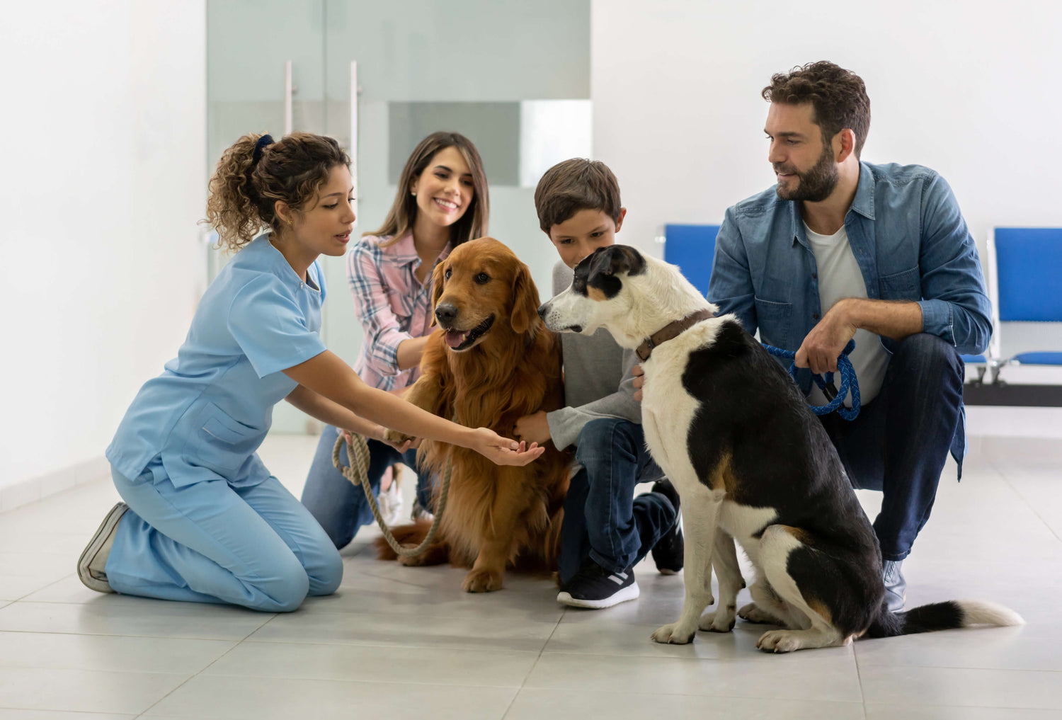 Veterinary team and pet owners with their dogs in a clinic waiting room
