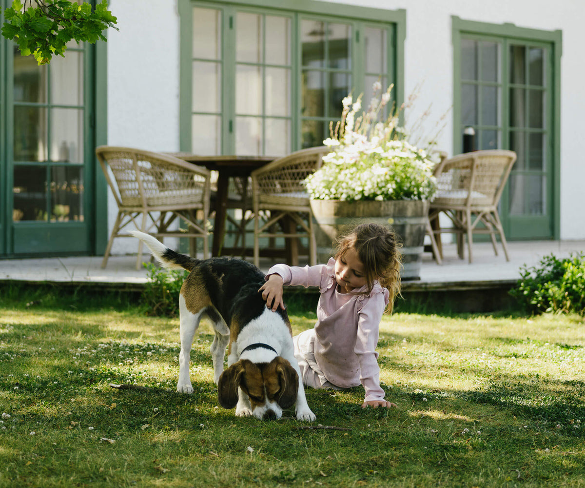 Dogs and their owners in a garden outside a Swedish house