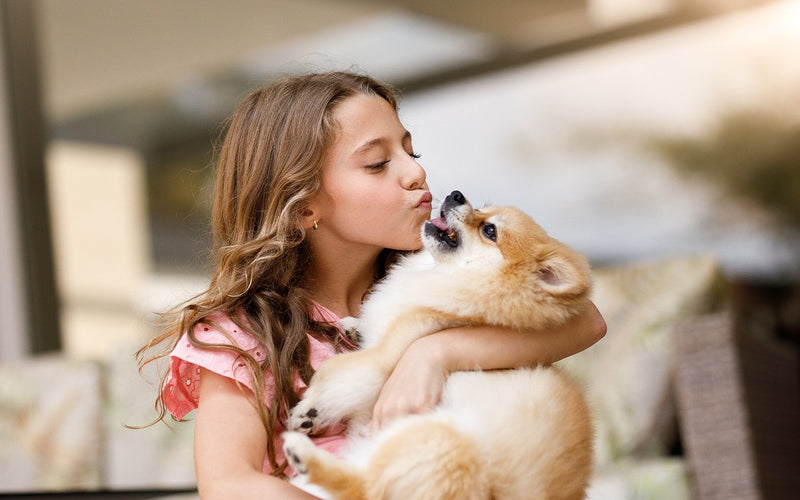 Woman in a red top kissing her cream pomeranian on the forehead